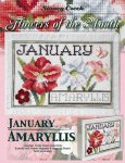 (image for) Flowers Of The Month-January